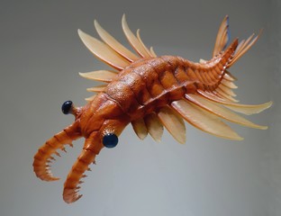 Anomalocaris a scary looking ancient lifeform - 266226522