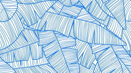 Foto op Canvas Foliage seamless pattern, banana leaves line art ink drawing in blue and white © momosama
