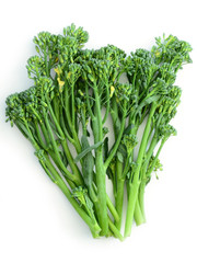 Bunch of broccolini stems