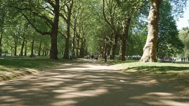 Time lapse. People walking on a sidewalk between trees in a park.