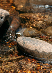 Close-up view of water stream