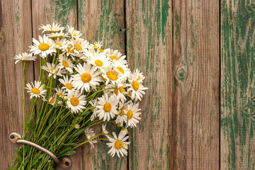 Bouquet field chamomile flowers in door handle on old wooden background. Concept rustic romantic surprise. Copy space Minimal style, template postcard for lettering text or your design.