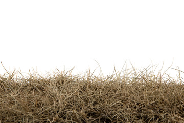 Dry grass isolated on white background.dry grass field with clipping path.