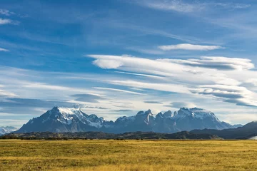 Papier Peint photo Cuernos del Paine Beautiful panoramic view of golden yellow grass with background of nature cuernos mountains peak with cloud in autumn, Torres del Paine national park, south Patagonia, Chile