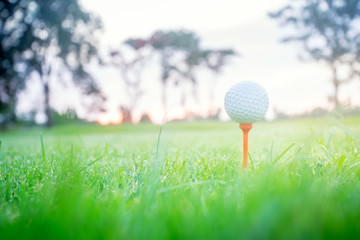 golf ball on tee at 1st hole tee off with blur green grass foreground and blur colorful sky with silhouette trees background during sunrise, Thailand