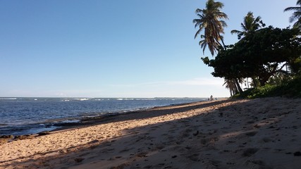  Praia do Forte Bahia