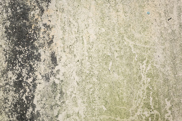 background with moss on wall