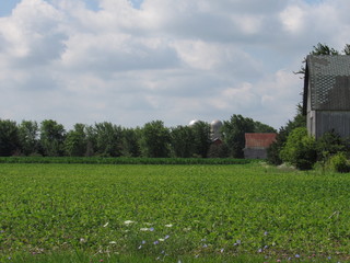 Barn on a cloudy day