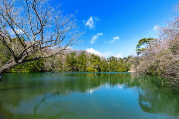 Fototapeta na wymiar 【青森県深浦町】十二湖入口の八景の池