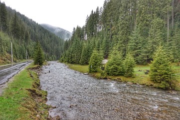 Fototapeta na wymiar Mountain river after rain in the Carpathians.