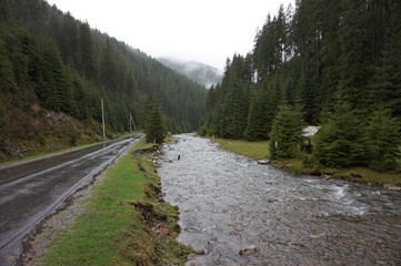 Fototapeta na wymiar Mountain river after rain in the Carpathians.