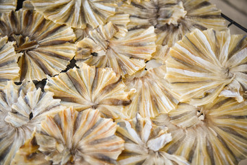 dried fish circle background / food preservation of fish and aquatic animals dried seafood