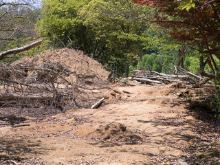 豪雨の土砂崩れ