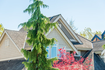 The top of the house or apartment building with nice window
