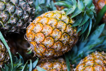 Fresh pineapple in market