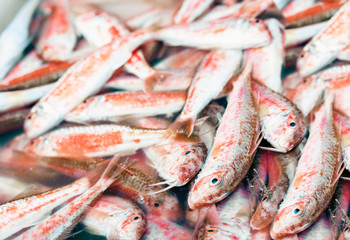 Fresh fish for sale in the fish market Pescheria of Catania, Sicily, Italy.