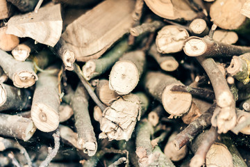 Dry cut logs firewood, wood.