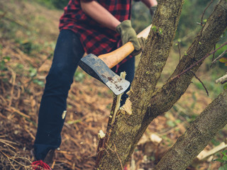 Young woman cutting tree with axe