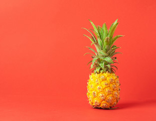 Yellow ripe pineapple on a red background. Concept minimalism. Copy space.