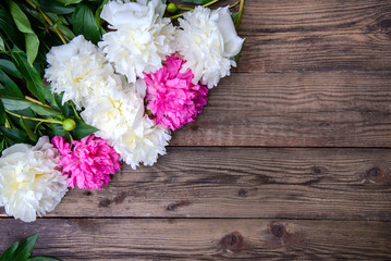 Beautiful frame of white and pink peonies