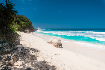 Tropical sandy beach with blue ocean and waves