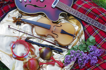 Fototapeta premium Musical instruments on a picnic against the backdrop of nature