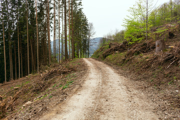 Tire tracks on a muddy road in the countryside