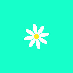 White daisy chamomile. Cute flower plant. Love card. Camomile icon Growing concept. Flat design. Green background. Isolated. Vector illustration