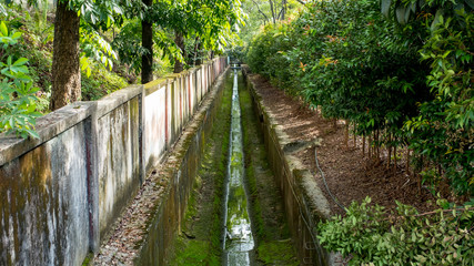 Concrete canal with greenery on the sides