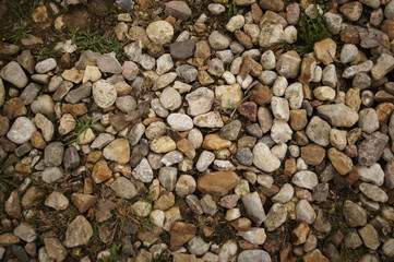 Light stones on the ground, texture, photophone, background.