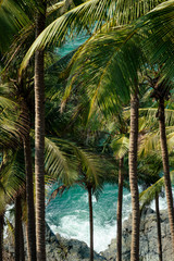 Fototapeta na wymiar Cola Colva beach in paradise Goa copyspase