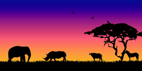Fototapeta na wymiar African savanna landscape. Wild animals in National park. Safari travel concept