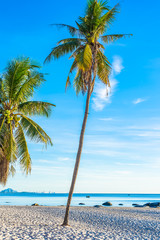 Obraz na płótnie Canvas Beautiful tropical outdoor nature landscape of beach sea and ocean with coconut palm tree