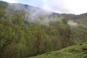 Landscape of Djurdjevica Tara village. Forest, mountain, fog and river