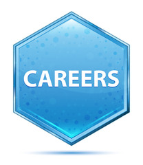 Careers crystal blue hexagon button