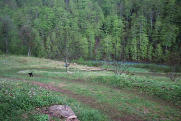 Landscape of Djurdjevica Tara village. Forest, mountain, fog and river