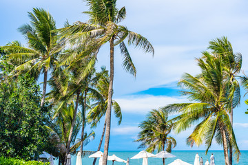 Fototapeta premium Beautiful outdoor nature with umbrella chair and coconut palm tree around swimming pool in hotel and resort