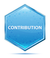 Contribution crystal blue hexagon button