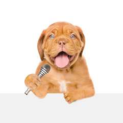 Happy puppy holds microphone above empty white banner. isolated on white background