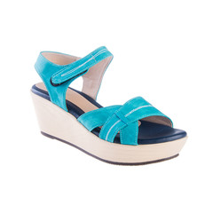 Naklejka premium shoe or woman shoe on a background.