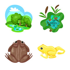 Isolated object of frog and anuran icon. Set of frog and animal vector icon for stock.