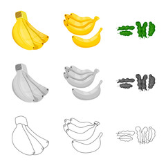 Vector design of natural and vegetarian symbol. Collection of natural and eating stock symbol for web.