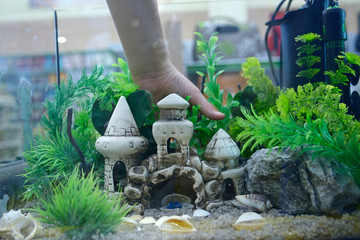 Girl's hand arranging decorations in an aquarium