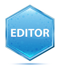 Editor crystal blue hexagon button