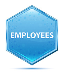 Employees crystal blue hexagon button