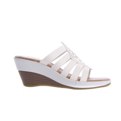 shoe or woman shoe on a background.