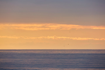 Serene Sky
