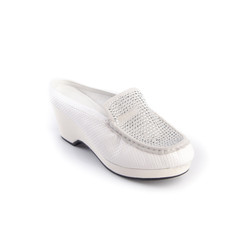 shoe or woman shoe on a background.