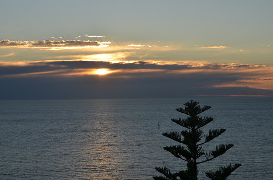 Beach sunset wigth clouds and Norfolk pine trees off Glenelg South Australia