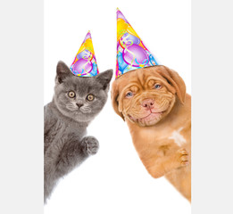 Kitten and puppy in birthday hats  behind white banner. isolated on white background